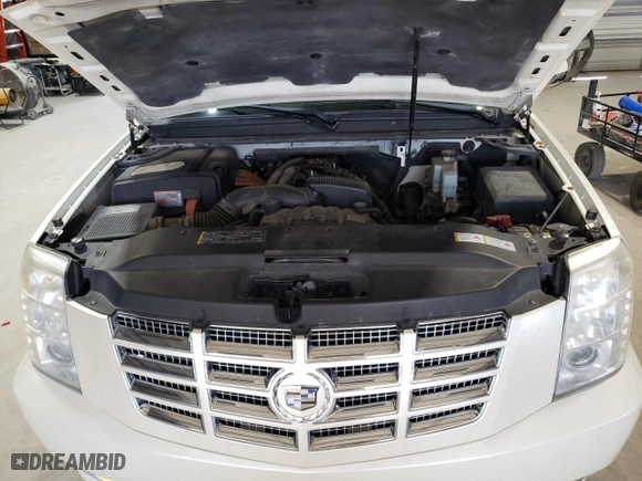 2009 Cadillac Escalade Hybrid with VIN 1GYFK43569R209961, listed as a Copart auction lot 54011705 with 143,894 mi miles and Clean Title. Bid and sale history available at carsss.com. Image 12.