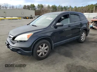 2009 Honda CR-V EX with VIN JHLRE48599C019631, listed as a Copart auction lot 49701725 with 145,015 mi miles and Non Repairable. Bid and sale history available at carsss.com. Image 1.