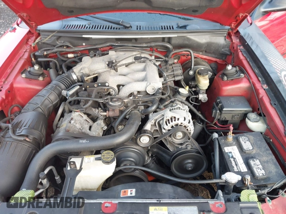 2003 Ford Mustang Standard with VIN 1FAFP40493F435980, listed as a IAAI auction lot 41520723 with 185,865 mi miles. Bid and sale history available at carsss.com. Image 10.