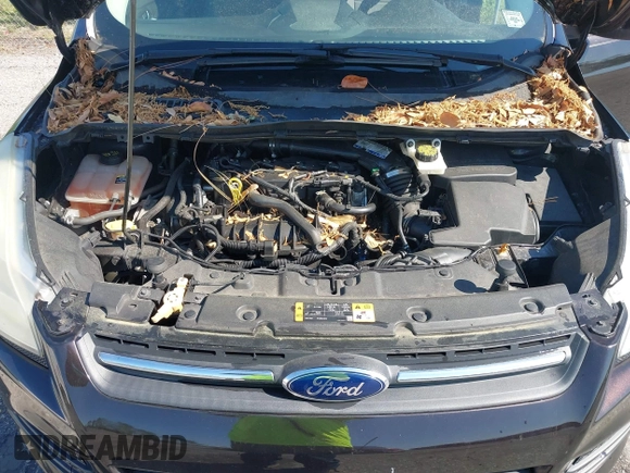 2013 Ford Escape SE with VIN 1FMCU0GX3DUA85432, listed as a IAAI auction lot 42018437 with Not Provided miles and . Bid and sale history available at DreamBid. Image 10.