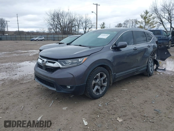 2019 Honda CR-V EX with VIN 2HKRW1H51KH516045, listed as a IAAI auction lot 41834293 with 113,438 mi miles. Bid and sale history available at carsss.com. Image 2.
