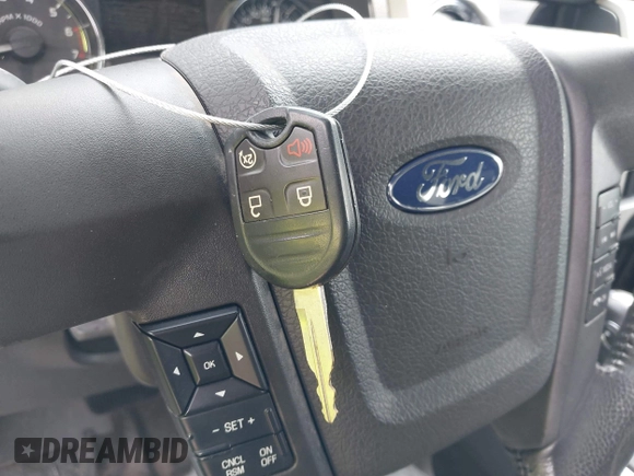 2011 Ford F-150 XL with VIN 1FTFW1EF9BKD91376, listed as a IAAI auction lot 42696719 with 120,034 mi miles and . Bid and sale history available at DreamBid. Image 11.