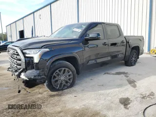 2023 Toyota Tundra 2WD Platinum with VIN 5TFNA5AB0PX026342, listed as a Copart auction lot 44012145 with 34,550 mi miles and Salvage Title. Bid and sale history available at carsss.com. Image 1.