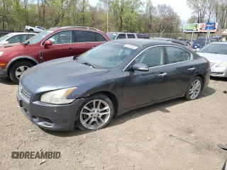 2010 Nissan Maxima SV with VIN 1N4AA5APXAC817024, listed as a Copart auction lot 53623465 with Not provided miles and Salvage title. Bid and sale history available at DreamBid. Image 1.