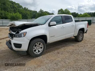 2019 Chevrolet Colorado 2WD LT with VIN 1GCGSCEN3K1113002, listed as a Copart auction lot 58360505 with 169,578 mi miles and Salvage title. Bid and sale history available at DreamBid. Image 1.