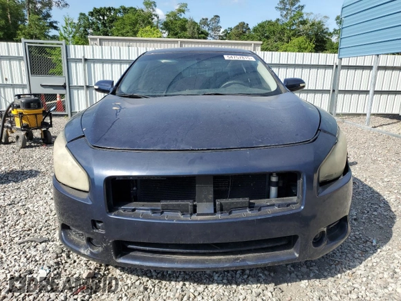 2009 Nissan Maxima SV with VIN 1N4AA51E09C857199, listed as a Copart auction lot 54757815 with 213,356 mi miles and Clean Title. Bid and sale history available at DreamBid. Image 5.