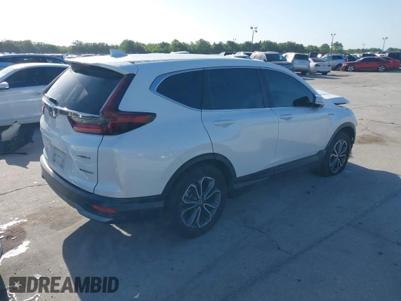 2020 Honda CR-V EX with VIN 7FART6H53LE005902, listed as a IAAI auction lot 41951308 with 50,498 mi miles and . Bid and sale history available at DreamBid. Image 4.