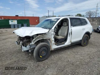 2020 Kia Telluride S with VIN 5XYP64HC1LG009842, listed as a Copart auction lot 48749955 with Not Provided miles and Salvage Title. Bid and sale history available at carsss.com. Image 1.