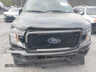 2018 Ford F-150 XL with VIN 1FTEW1C50JFD23545, listed as a IAAI auction lot 41838209 with 129,906 mi miles and . Bid and sale history available at DreamBid. Image 6.