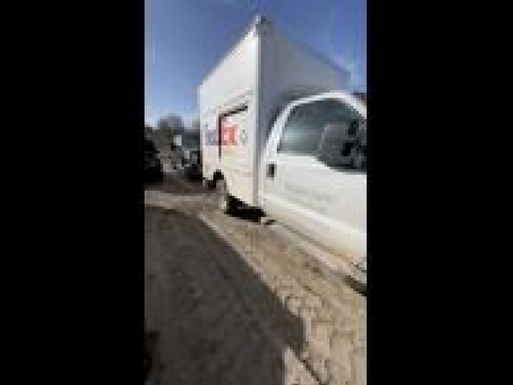 2013 Ford F-250 XL z VIN 1FDBF2B6XDEB43045, wystawiony jako IAAI lot #42511129 z przebiegiem 607 408 mil mil oraz . Historia ofert i sprzedaży dostępna na DreamBid. Obrazek 13.