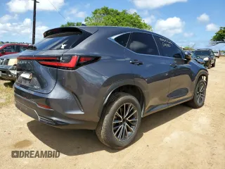 2024 Lexus NX 250 Premium with VIN JTJGDCAZ8R2010534, listed as a Copart auction lot 63456295 with Not provided miles and Non repairable. Bid and sale history available at DreamBid. Image 3.