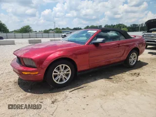 2005 Ford Mustang Deluxe with VIN 1ZVFT84N455187062, listed as a Copart auction lot 61953205 with 112,238 mi miles and Non repairable. Bid and sale history available at DreamBid. Image 1.