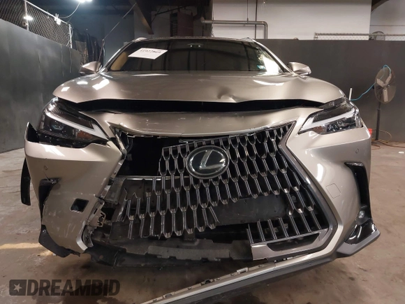 2024 Lexus NX 350h Premium with VIN 2T2GKCEZ3RC016337, listed as a IAAI auction lot 41922869 with 23,022 mi miles and . Bid and sale history available at DreamBid. Image 12.