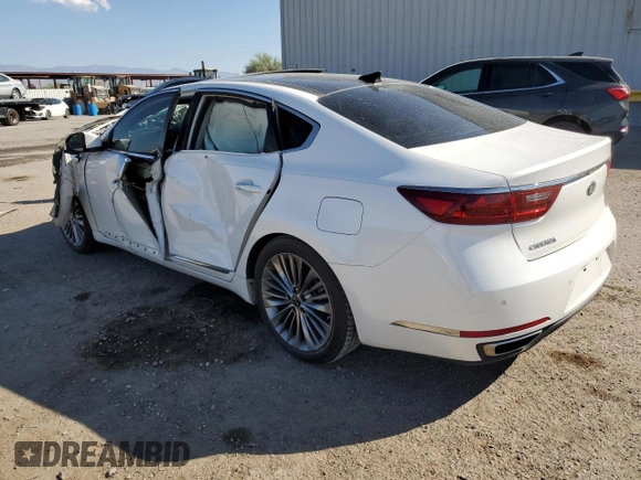 2018 Kia Cadenza Premium with VIN KNALC4J13J5105393, listed as a Copart auction lot 74038014 with Not Provided miles and Salvage Title. Bid and sale history available at DreamBid. Image 2.