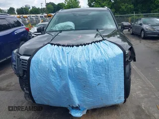 2020 Kia Telluride EX with VIN 5XYP34HC3LG088925, listed as a IAAI auction lot 42399123 with 30,106 mi miles and . Bid and sale history available at DreamBid. Image 12.