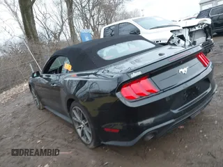 2019 Ford Mustang EcoBoost with VIN 1FATP8UH2K5159850, listed as a IAAI auction lot 41056057 with 44,133 mi miles and . Bid and sale history available at DreamBid. Image 3.