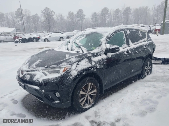 2017 Toyota RAV4 XLE with VIN 2T3RFREV1HW607756, listed as a IAAI auction lot 41530416 with 65,503 mi miles. Bid and sale history available at carsss.com. Image 2.