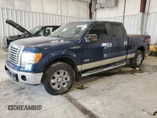 2011 Ford F-150 XLT with VIN 1FTFW1ET0BFC87020, listed as a Copart auction lot 58845915 with 137,315 mi miles and Clean title. Bid and sale history available at DreamBid. Image 1.