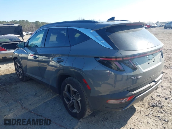 2024 Hyundai Tucson Limited with VIN 5NMJE3DE7RH366483, listed as a IAAI auction lot 41541545 with 4,380 mi miles and . Bid and sale history available at DreamBid. Image 3.