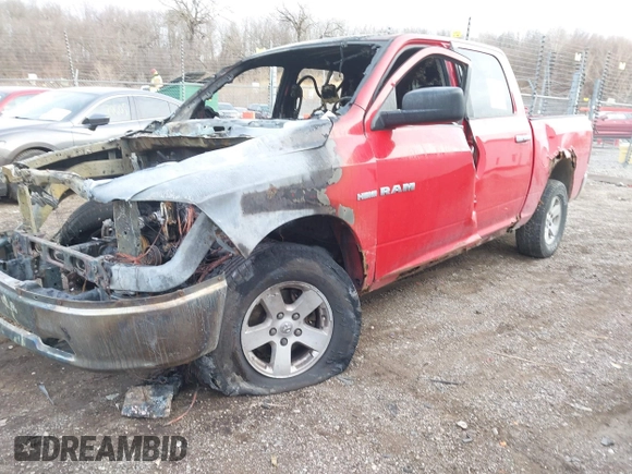 2009 Dodge 1500 SLT with VIN 1D3HV13T59J527076, listed as a IAAI auction lot 41551202 with Not Provided miles. Bid and sale history available at carsss.com. Image 2.