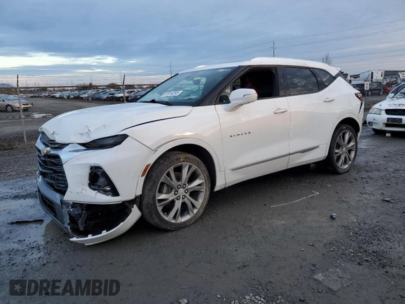 2019 Chevrolet Blazer Premier with VIN 3GNKBFRS9KS700290, listed as a Copart auction lot 87919295 with 58,191 mi miles and Salvage title. Bid and sale history available at DreamBid. Image 1.