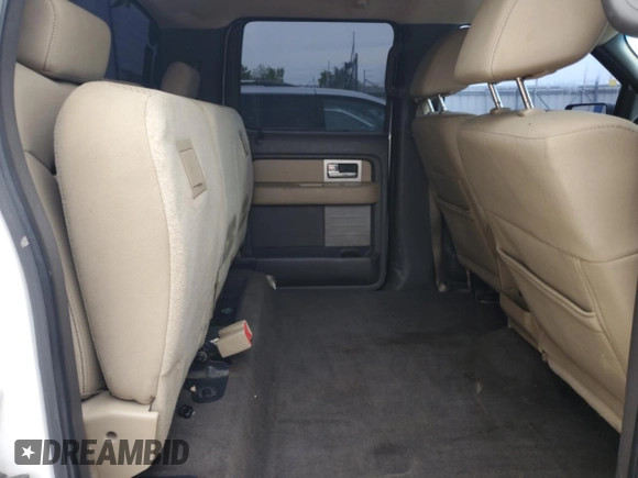 2009 Ford F-150 XL with VIN 1FTRW14869FA71810, listed as a Copart auction lot 55146085 with 191,405 mi miles and Non repairable. Bid and sale history available at DreamBid. Image 10.