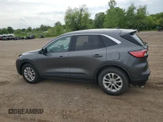 2020 Ford Escape SE with VIN 1FMCU0G66LUC61766, listed as a Copart auction lot 61370965 with 52,919 mi miles and Salvage title. Bid and sale history available at DreamBid. Image 2.