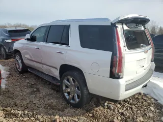 2019 Cadillac Escalade Luxury with VIN 1GYS4BKJ0KR213635, listed as a Copart auction lot 47352095 with 51,453 mi miles and Salvage Title. Bid and sale history available at carsss.com. Image 2.