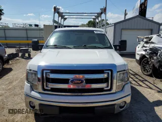 2013 Ford F-150 XL with VIN 1FTPF1CF3DKD91593, listed as a Copart auction lot 69015354 with 248,800 mi miles and Salvage title. Bid and sale history available at DreamBid. Image 5.