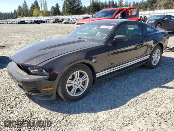 2012 Ford Mustang V6 Premium with VIN 1ZVBP8AM5C5224048, listed as a Copart auction lot 53483965 with 54,510 mi miles and Salvage Title. Bid and sale history available at carsss.com. Image 1.