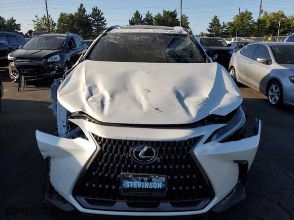 2025 Lexus NX with VIN JTJGKCEZ1S2042568, listed as a Copart auction lot 69894194 with 1,562 mi miles and Salvage Title. Bid and sale history available at carsss.com. Image 5.