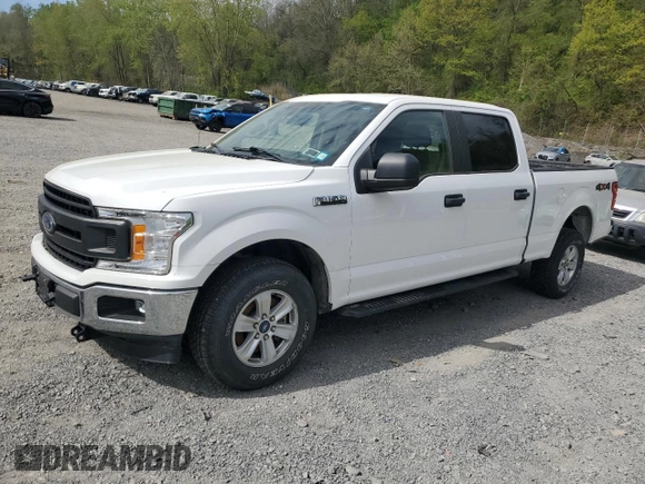 2019 Ford F-150 XL with VIN 1FTFW1E51KFC28124, listed as a Copart auction lot 54140585 with 14,881 mi miles and Salvage Title. Bid and sale history available at carsss.com. Image 1.