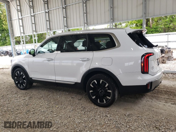 2024 Kia Telluride SX Prestige X-Pro with VIN 5XYP5DGC8RG431636, listed as a Copart auction lot 55682855 with 14,114 mi miles and Salvage title. Bid and sale history available at DreamBid. Image 2.