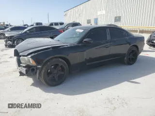 2014 Dodge Charger SE with VIN 2C3CDXBG7EH314658, listed as a Copart auction lot 48160235 with 161,599 mi miles and Salvage Title. Bid and sale history available at carsss.com. Image 1.