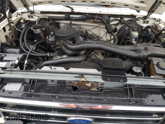 1991 Ford F-150 with VIN 1FTEF15N8MLA29118, listed as a Copart auction lot 86580234 with 66,814 mi miles and Salvage Title. Bid and sale history available at carsss.com. Image 11.
