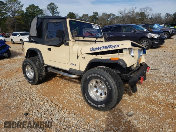 1993 Jeep Wrangler with VIN 1J4FY29S5PP247657, listed as a Copart auction lot 41595585 with 185,962 mi miles and Salvage Title. Bid and sale history available at carsss.com. Image 4.