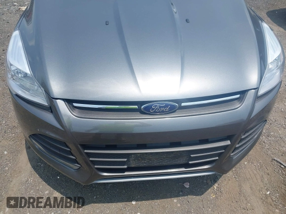 2014 Ford Escape SE with VIN 1FMCU9GX1EUE21729, listed as a IAAI auction lot 42475113 with 116,050 mi miles and . Bid and sale history available at DreamBid. Image 6.