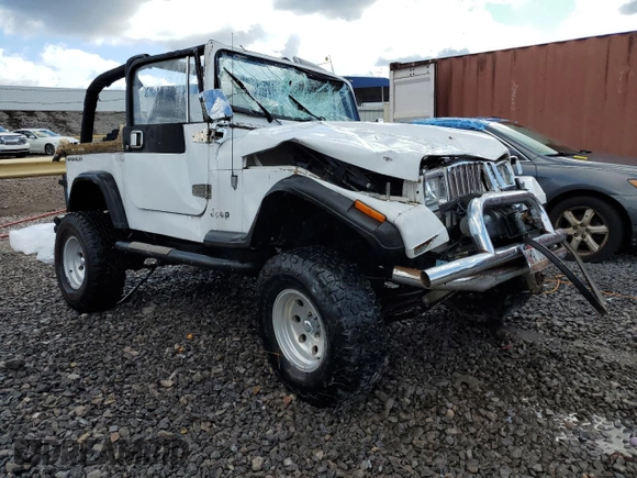 1995 Jeep Wrangler with VIN 1J4FY29S5SP205255, listed as a Copart auction lot 81524244 with 151,858 mi miles and Salvage Title. Bid and sale history available at carsss.com. Image 4.