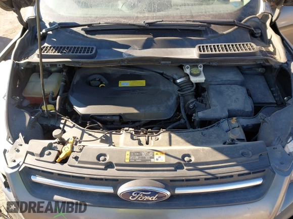 2014 Ford Escape SE with VIN 1FMCU0GX6EUA77052, listed as a IAAI auction lot 41344294 with 223,184 mi miles. Bid and sale history available at carsss.com. Image 10.