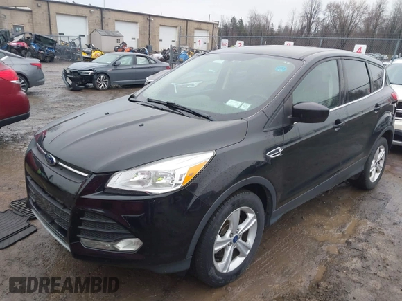 2014 Ford Escape SE with VIN 1FMCU9GX1EUC97297, listed as a IAAI auction lot 41983136 with 96,632 mi miles. Bid and sale history available at carsss.com. Image 2.