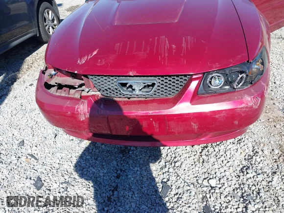 2004 Ford Mustang Deluxe with VIN 1FAFP44694F219365, listed as a IAAI auction lot 41628448 with 124,733 mi miles. Bid and sale history available at carsss.com. Image 6.