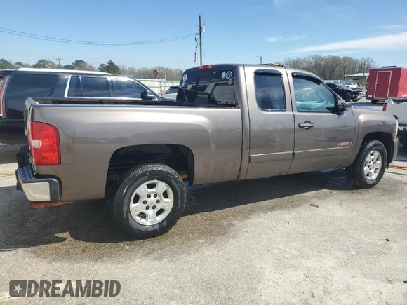 2007 Chevrolet Silverado 1500 with VIN 1GCEC19Y87Z535644, listed as a Copart auction lot 49467895 with 171,782 mi miles and Salvage Title. Bid and sale history available at DreamBid. Image 3.