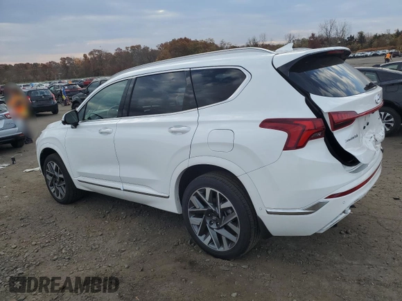 2023 Hyundai Santa Fe Calligraphy with VIN 5NMS5DAL9PH638154, listed as a Copart auction lot 77254174 with 8,565 mi miles and Salvage Title. Bid and sale history available at carsss.com. Image 2.