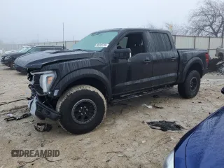 2024 Ford F-150 Raptor with VIN 1FTFW1RG2RFB14249, listed as a Copart auction lot 48995785 with 822 mi miles and Salvage Title. Bid and sale history available at carsss.com. Image 1.