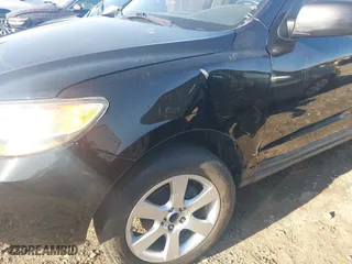 2009 Hyundai Santa Fe SE with VIN 5NMSH13E49H329117, listed as a IAAI auction lot 41995036 with 251,494 mi miles. Bid and sale history available at carsss.com. Image 6.