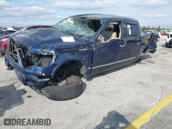 2009 Ford F-150 XL with VIN 1FTPW12V09FB33332, listed as a IAAI auction lot 41579223 with 200,105 mi miles. Bid and sale history available at carsss.com. Image 18.