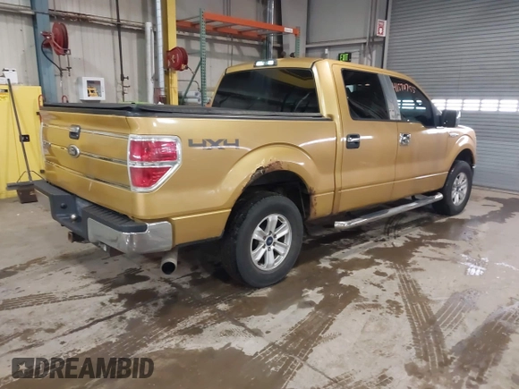 2009 Ford F-150 XL with VIN 1FTRW14829KC27848, listed as a IAAI auction lot 41570755 with 163,947 mi miles and . Bid and sale history available at DreamBid. Image 4.