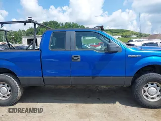 2010 Ford F-150 XL with VIN 1FTEX1E81AFC69211, listed as a IAAI auction lot 42678267 with 174,127 mi miles and . Bid and sale history available at DreamBid. Image 12.