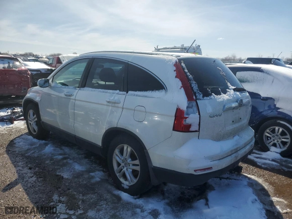 2010 Honda CR-V EX-L with VIN 5J6RE4H70AL032975, listed as a Copart auction lot 49387215 with 384,400 mi miles and Salvage Title. Bid and sale history available at carsss.com. Image 2.
