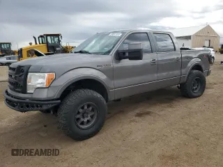 2010 Ford F-150 XL with VIN 1FTFW1EV6AFA03440, listed as a Copart auction lot 54847325 with 176,807 mi miles and Salvage Title. Bid and sale history available at DreamBid. Image 1.